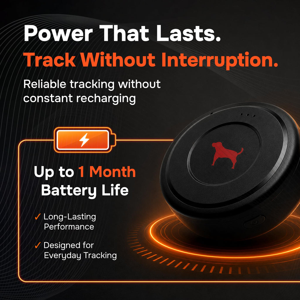 GPS Tracker for Vehicles No Monthly Fee